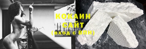 шишки Мегион