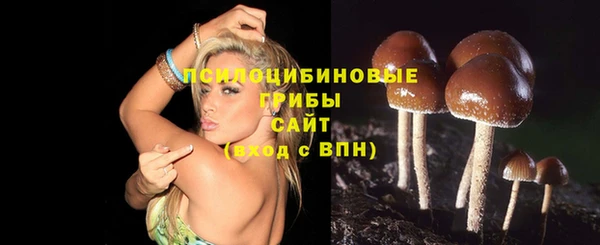прущие крисы Майский