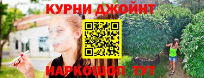 гидра Дубна