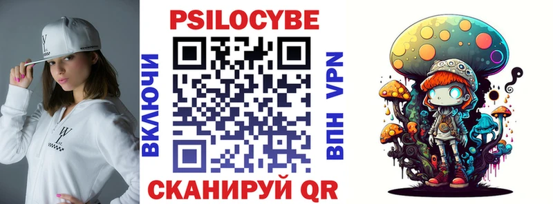 где можно купить наркотик  Малгобек  Галлюциногенные грибы Psilocybine cubensis 