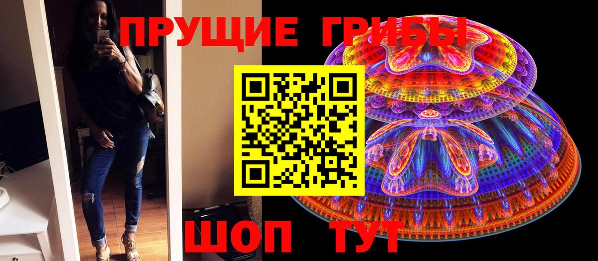 Галлюциногенные грибы GOLDEN TEACHER  Вход с VPN  Галлюциногенные грибы прущие грибы  Малгобек 